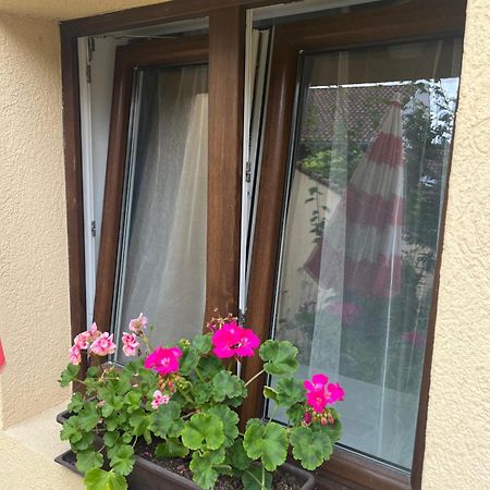 Kerti Franciaagyas Apartman Vác Zewnętrze zdjęcie